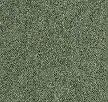Ковролин Brintons Finepoint Lakeland Green f 274 фото 1 | FLOORDEALER